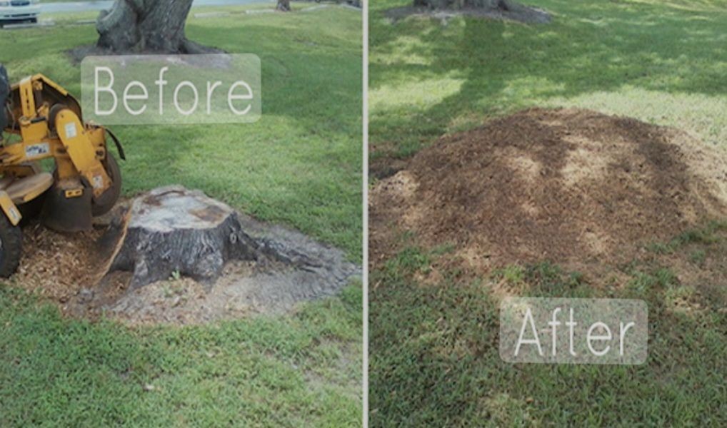 Stump Grinding